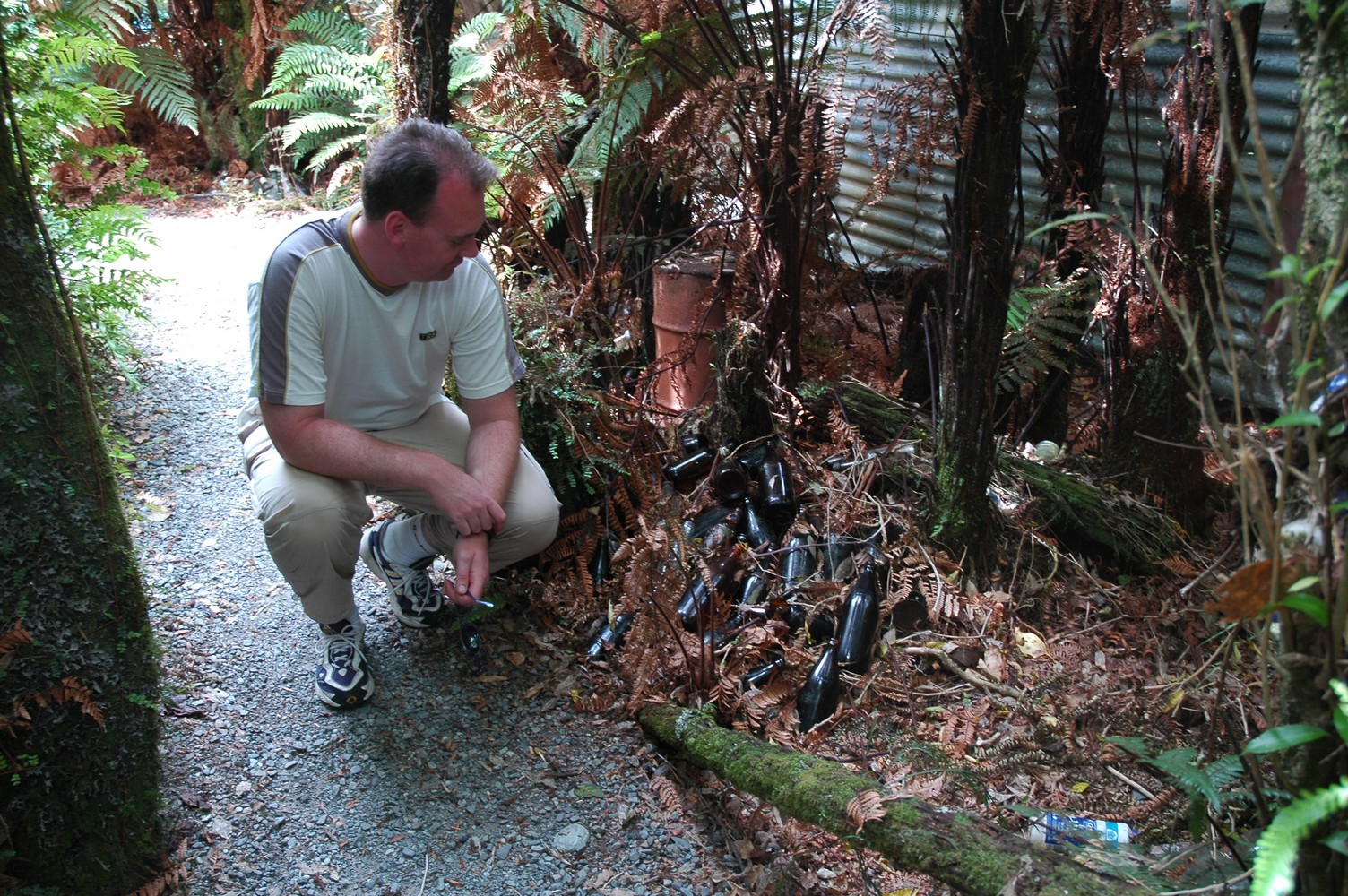 092   24 01   Greymouth   Fox Glacier